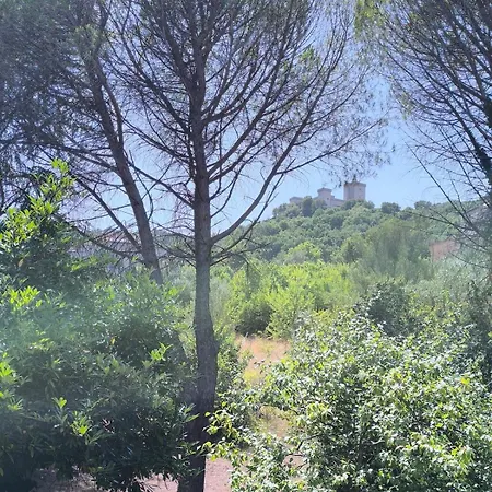 L'armadio Di -a